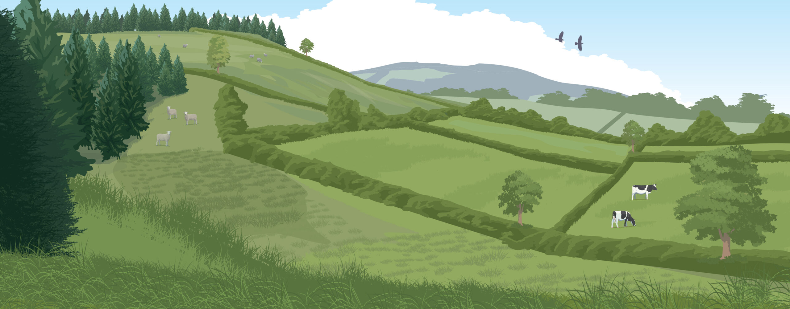 Hill Now Artwork