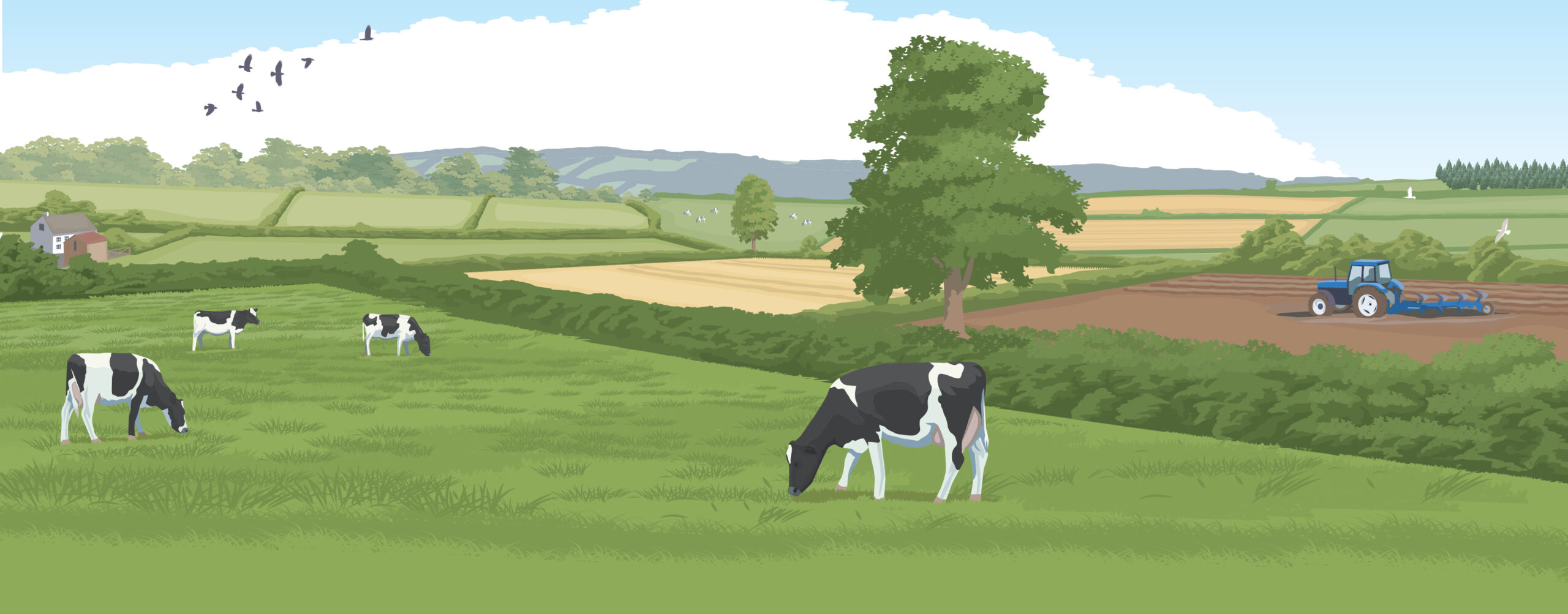 Pasture Now Artwork