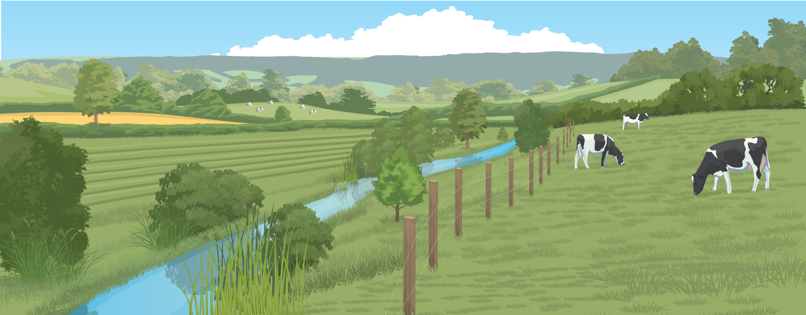 Tributary Now Artwork