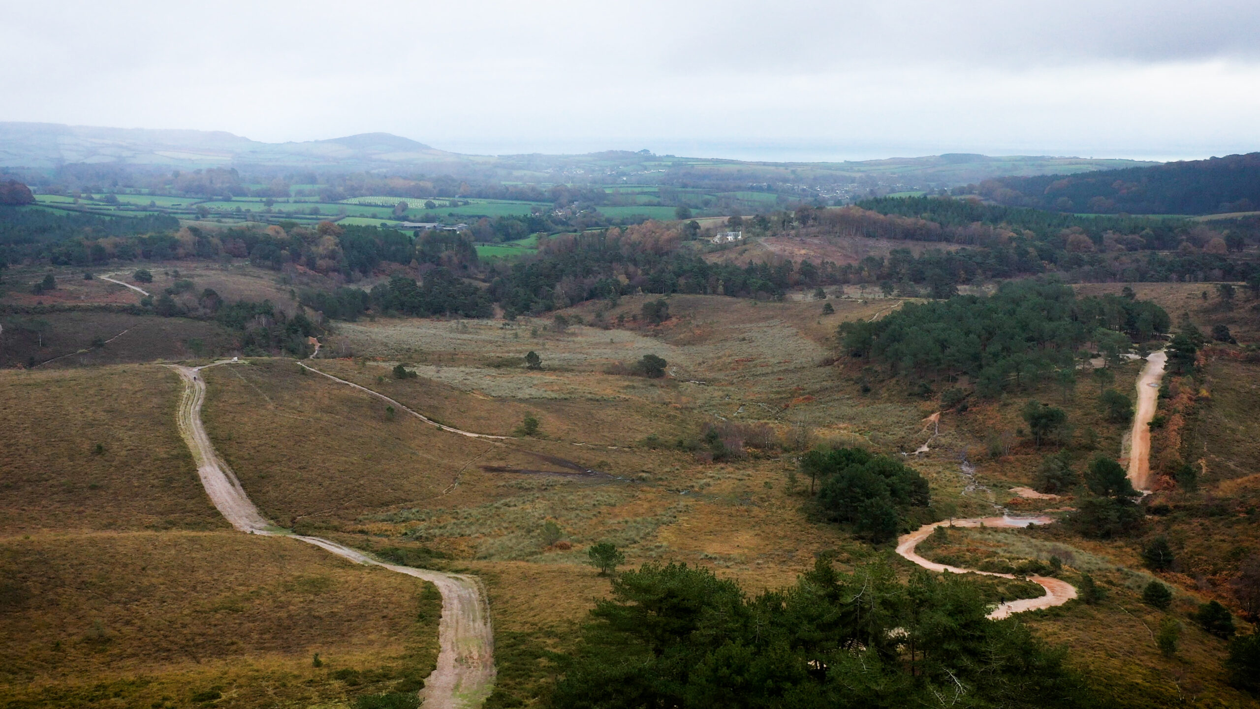 View from Pebblebed Heaths to Otter Estuary