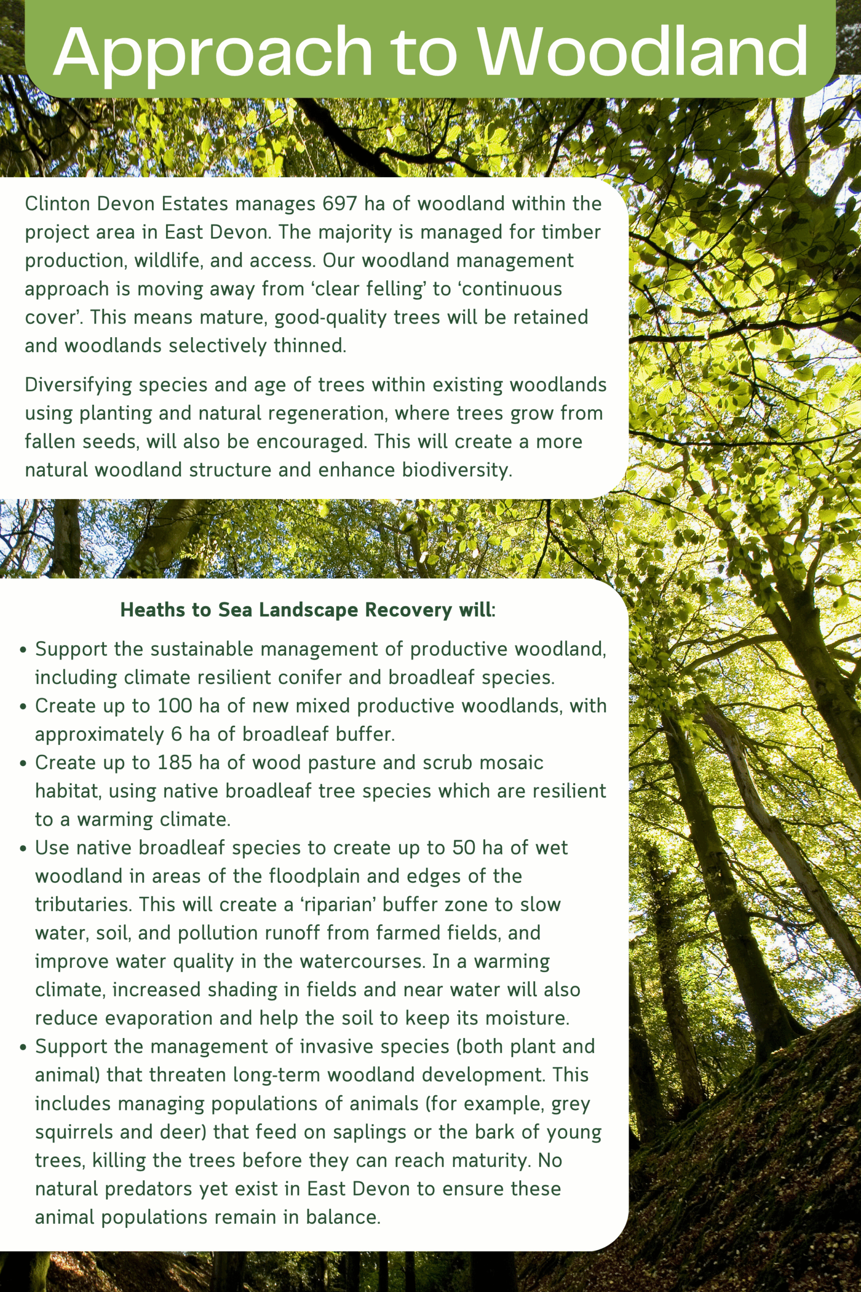 Heaths to Sea's draft proposed plans for woodland creation