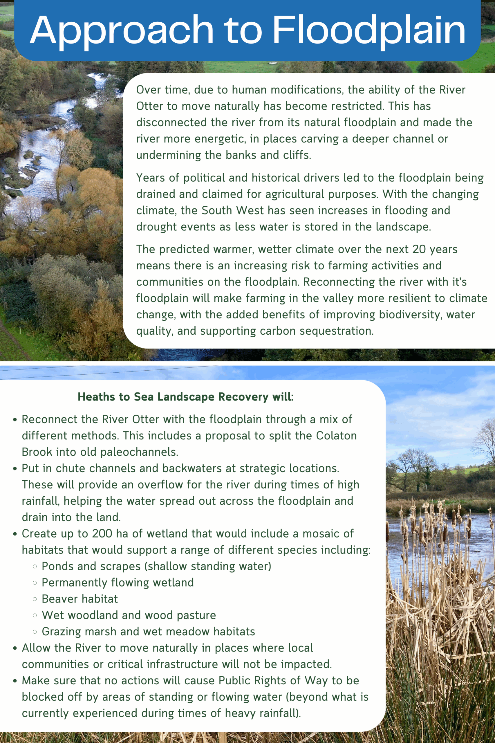 Heaths to Sea's draft proposed plans for wetland habitat and woodland corridor on the lower Otter floodplain