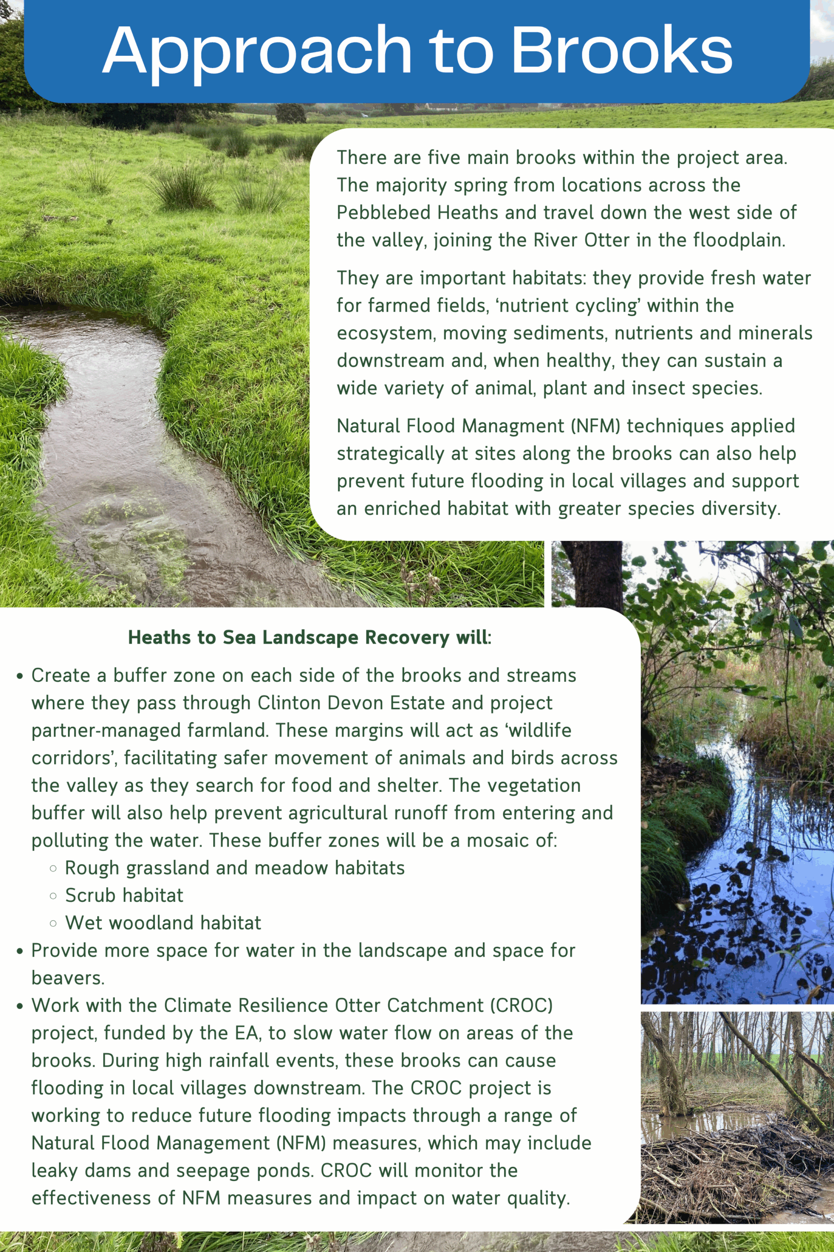 Heaths to Sea's draft proposed plans for wetland habitat creation on brooks and streams