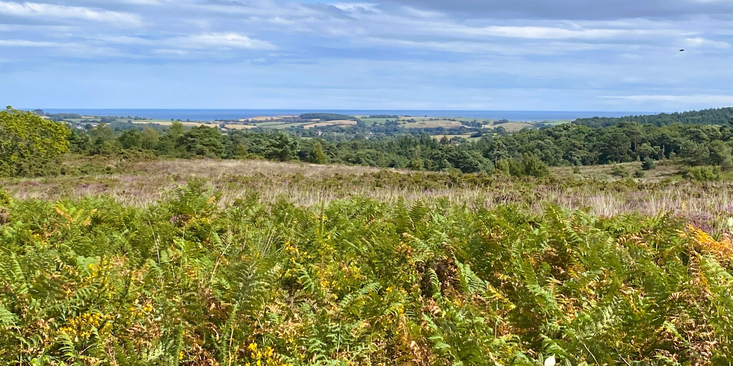 View from Model Airfield to the Sea, across heathland, woodland and farmland