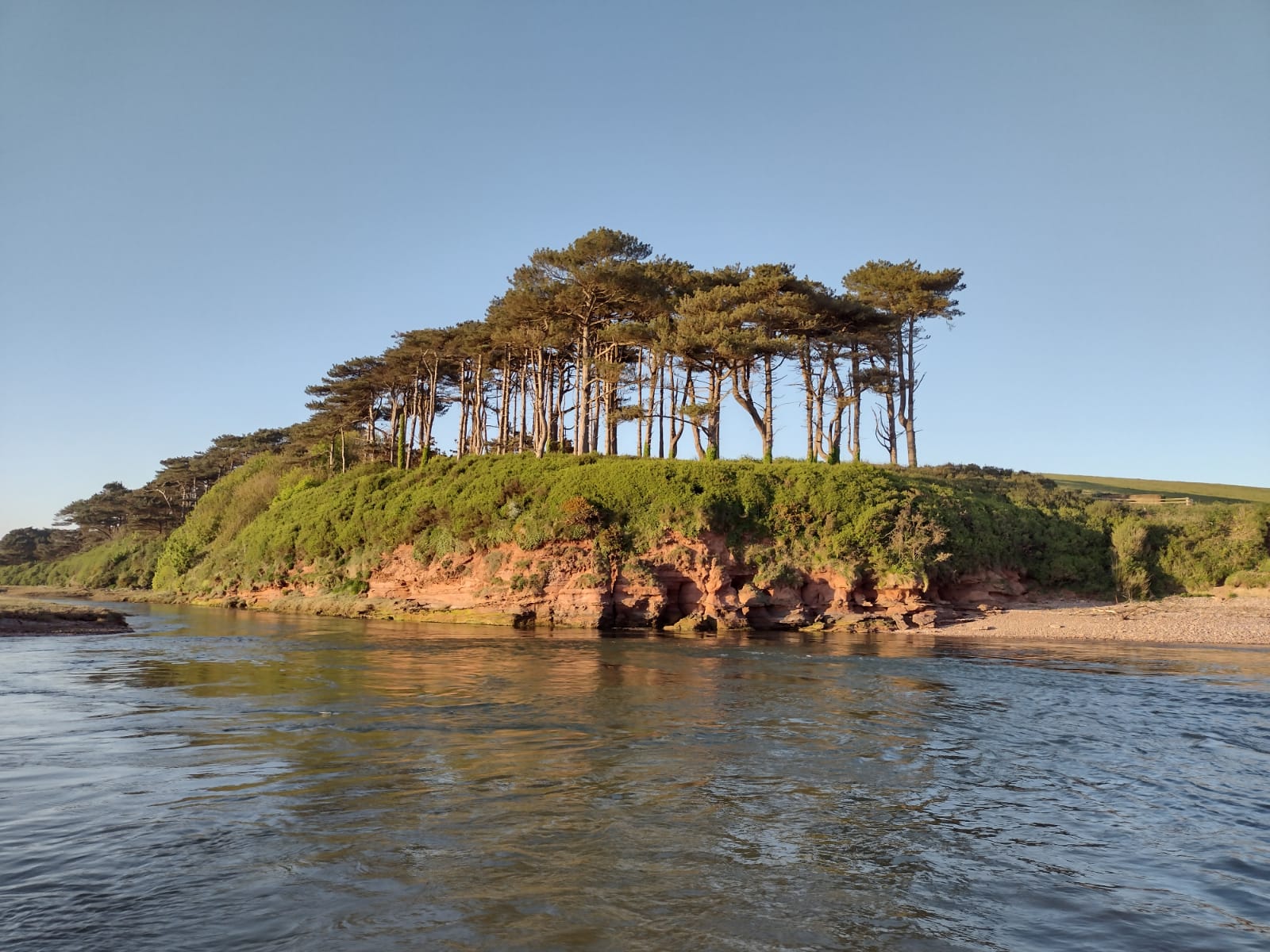 Otter estuary (2)