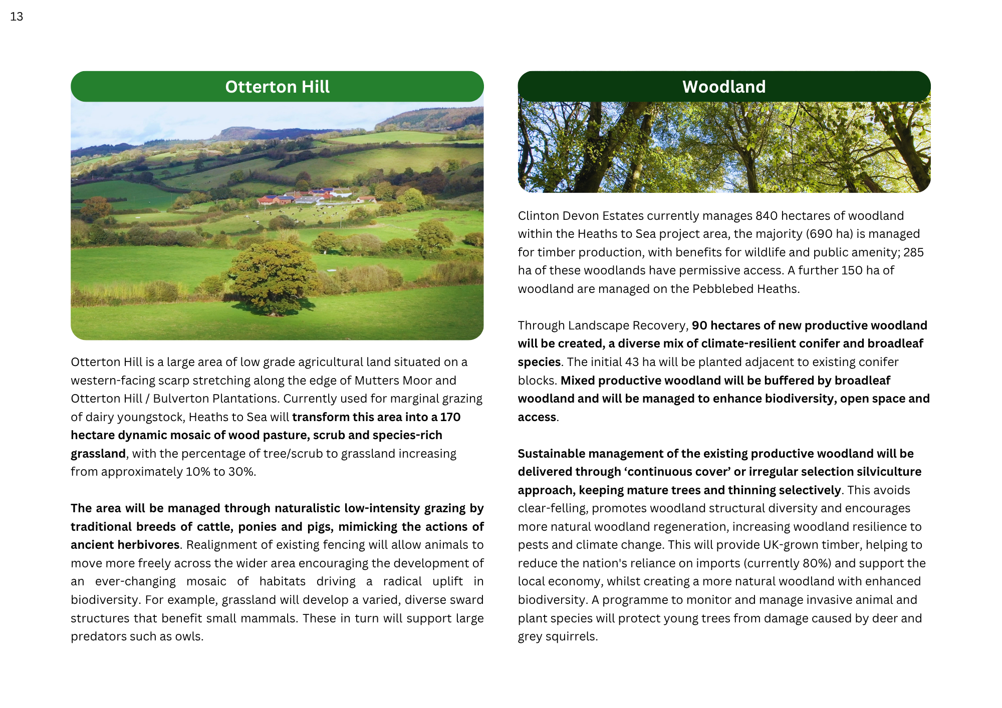 Land management plan - Otterton Hill and Woodland