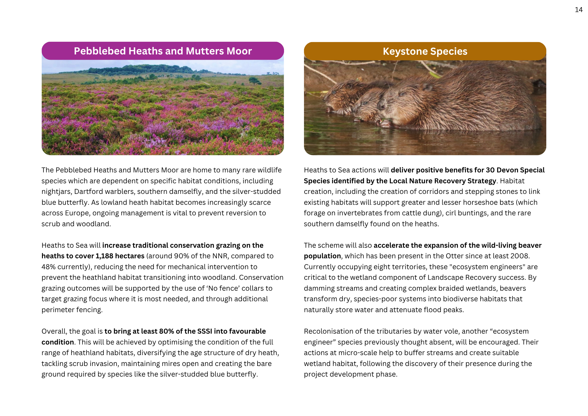 Land management plan - Pebblebed Heaths, Mutters Moor and Keystone Species