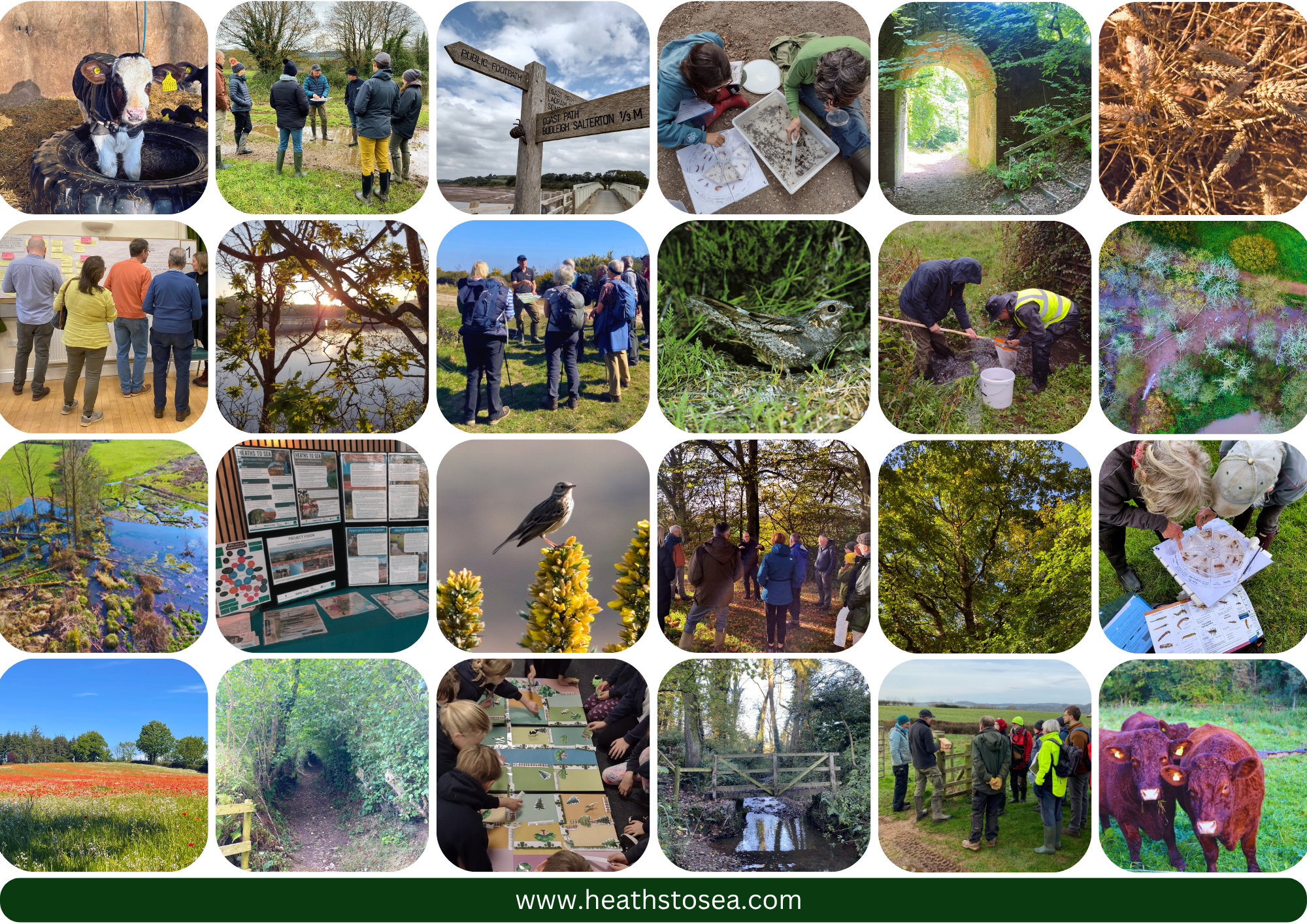 Heaths to Sea Project Overview End Page