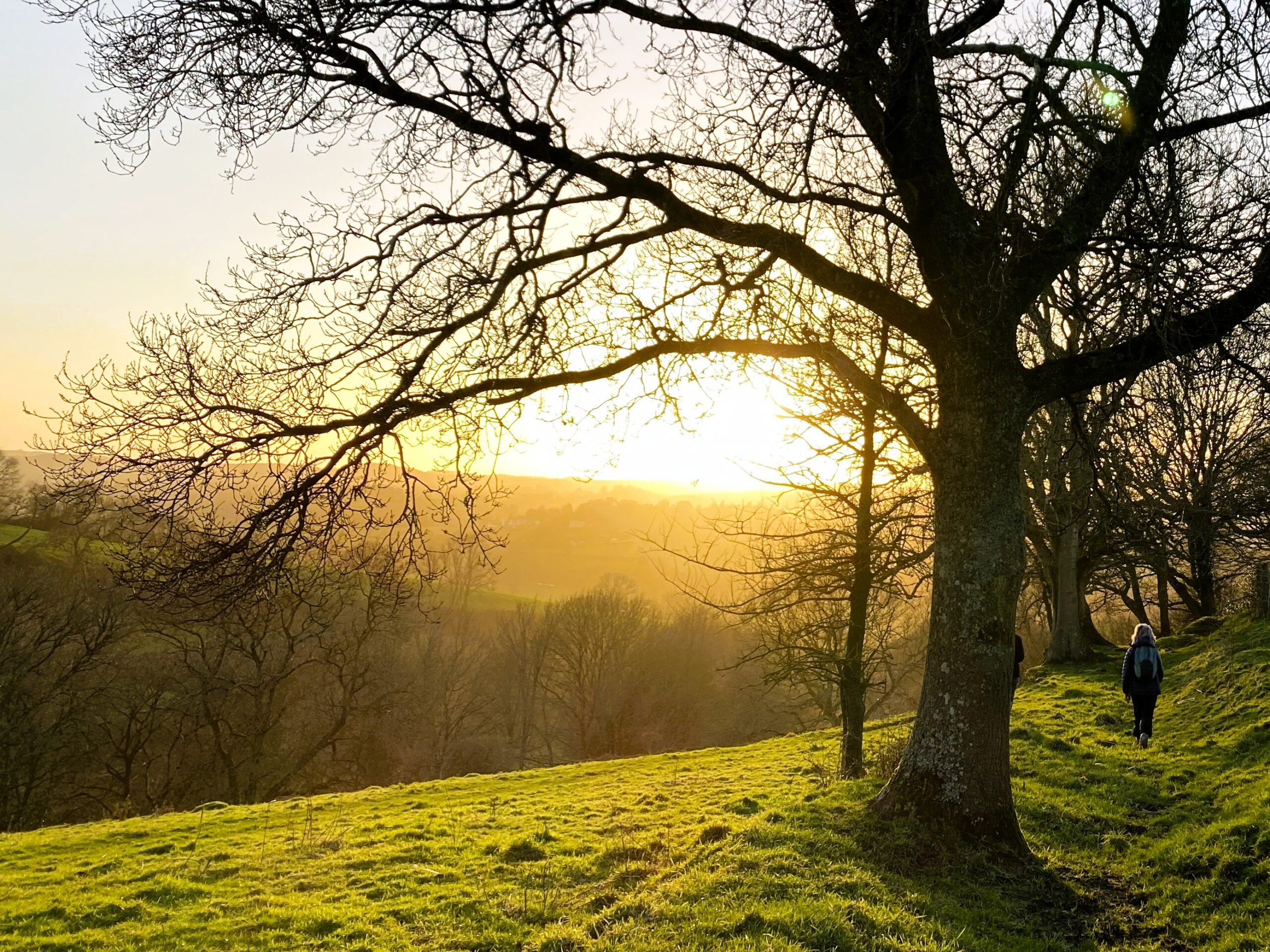 Person walking into sunset